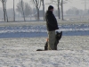 speurwedstrijd-30-02-2010